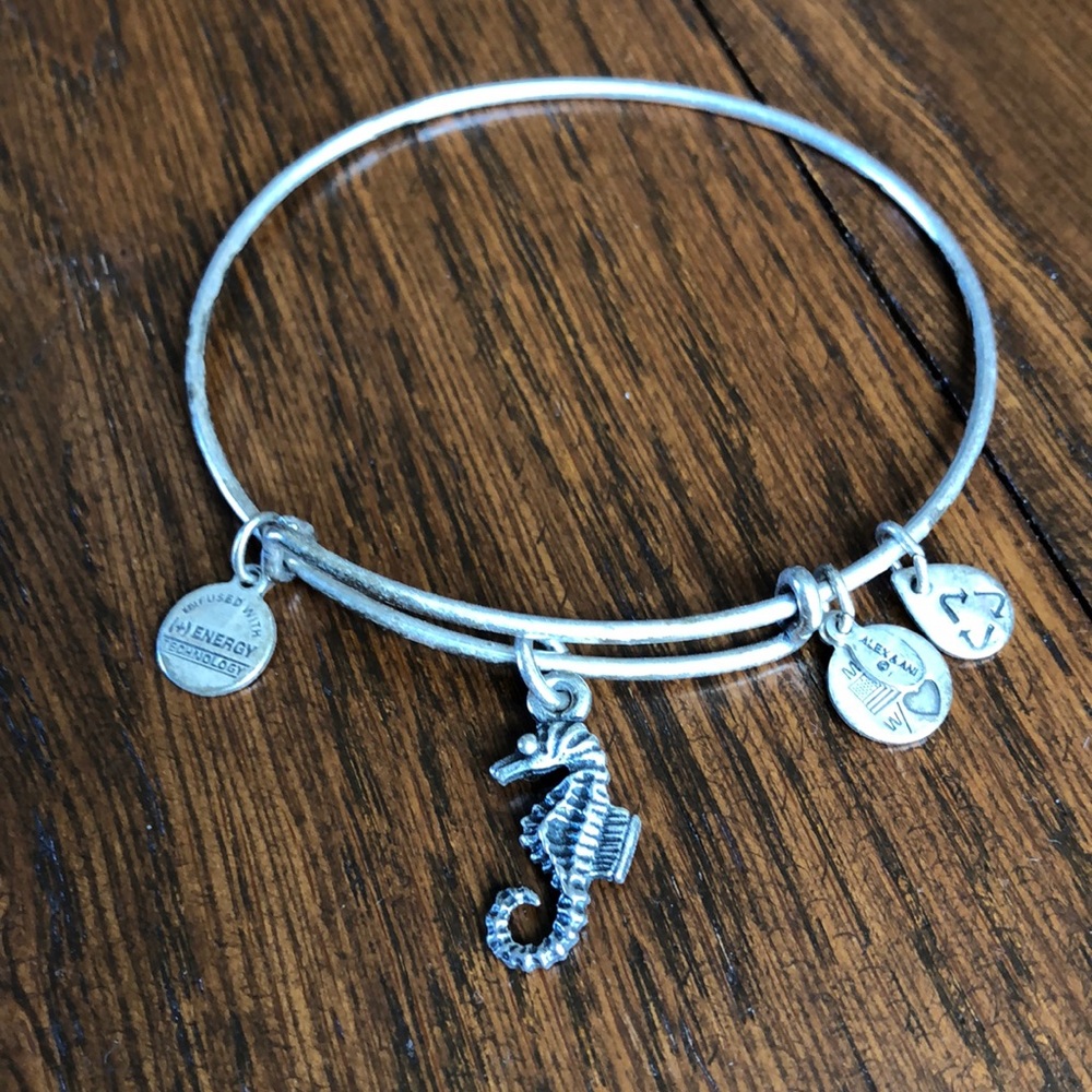 Alex and Ani bangle